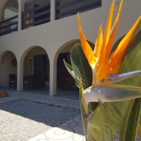 Santo Quintal Hostel 乌巴图巴 外观 照片